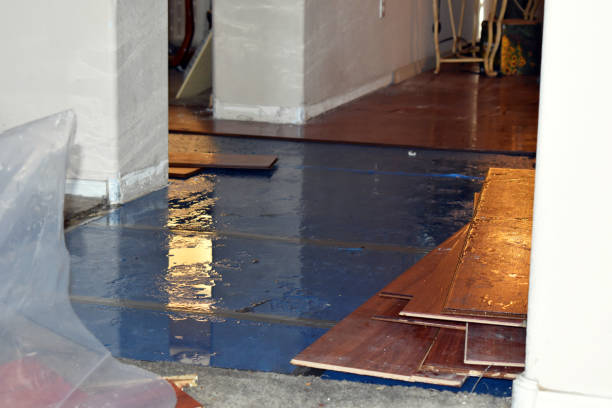 Professional Basement Flood Cleanup technician working in Augusta, WI